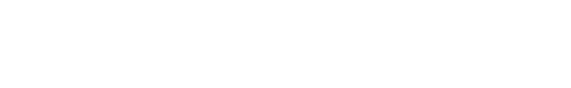 light logo